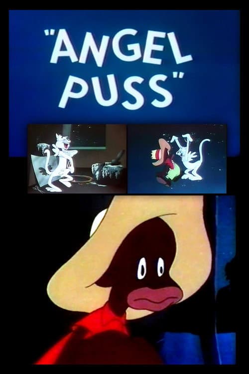 Angel Puss海报