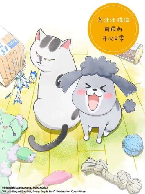 养狗与猫每天都很开心海报