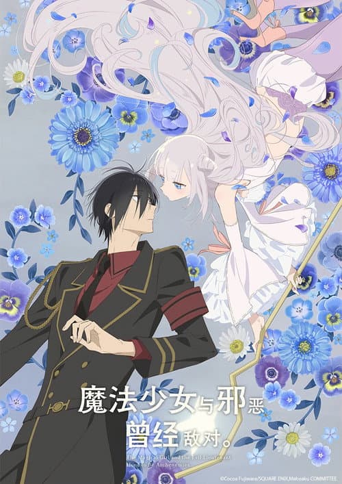 魔法少女与邪恶曾经敌对。海报