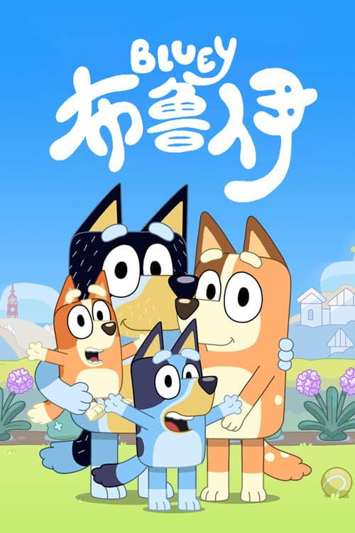 布鲁伊海报