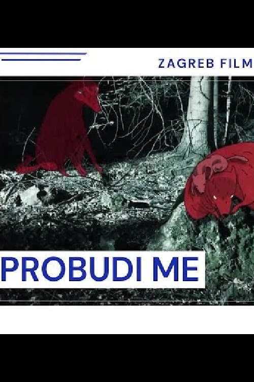 Probudi me海报