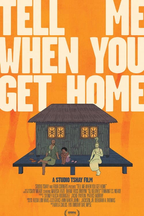 Tell Me When You Get Home海报