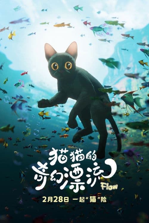 猫猫的奇幻漂流海报
