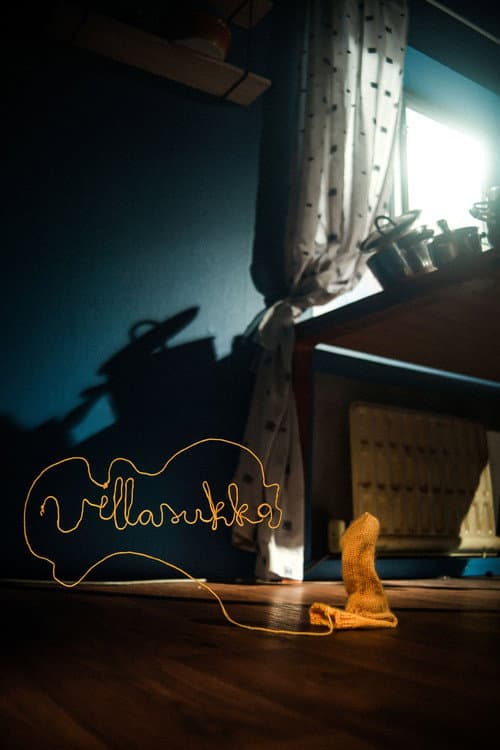 Villasukka海报