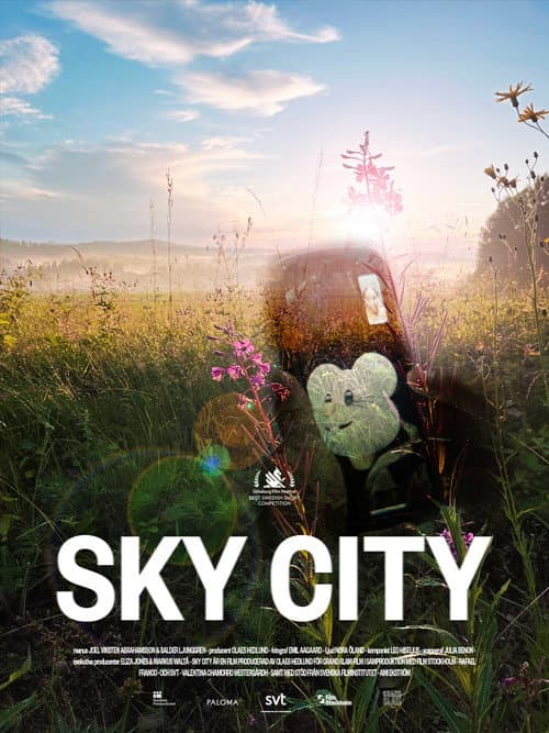 Sky City海报