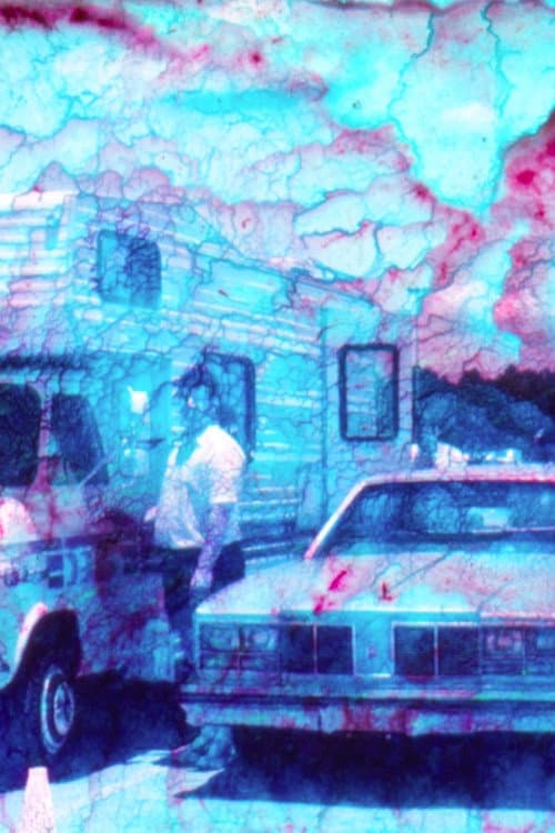 cicatrix dreaming海报