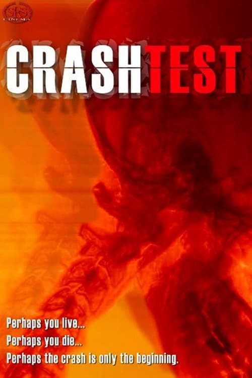Crash Test海报