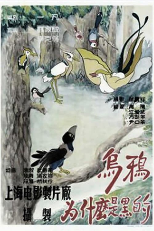 乌鸦为什么是黑的海报