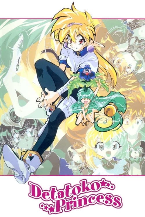 Suddenly Princess海报