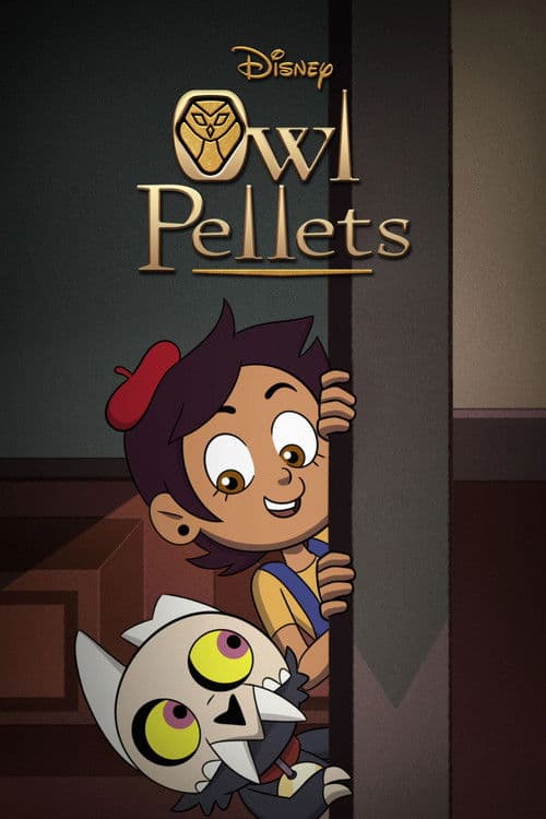 Owl Pellets海报