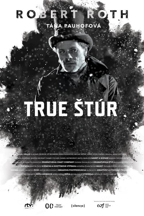 True Štúr海报