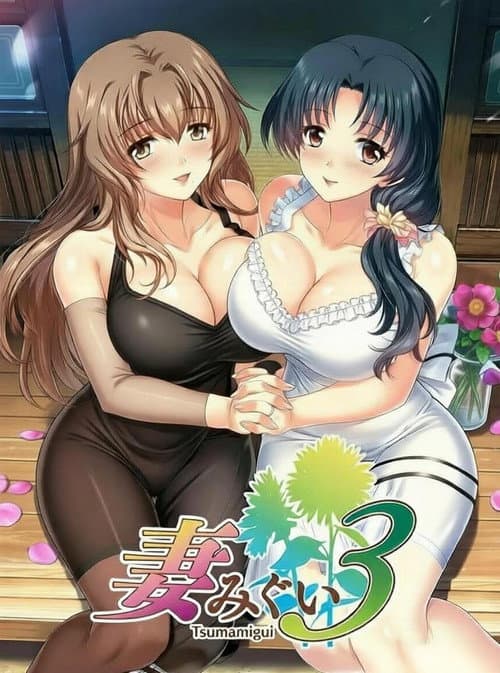 妻中蜜3海报