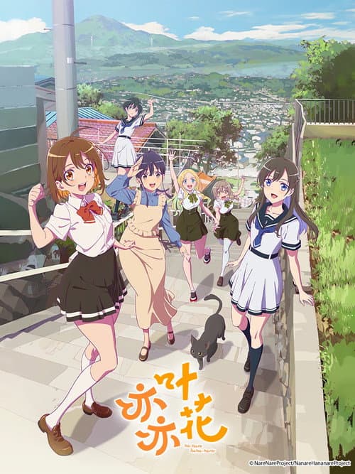 亦叶亦花海报