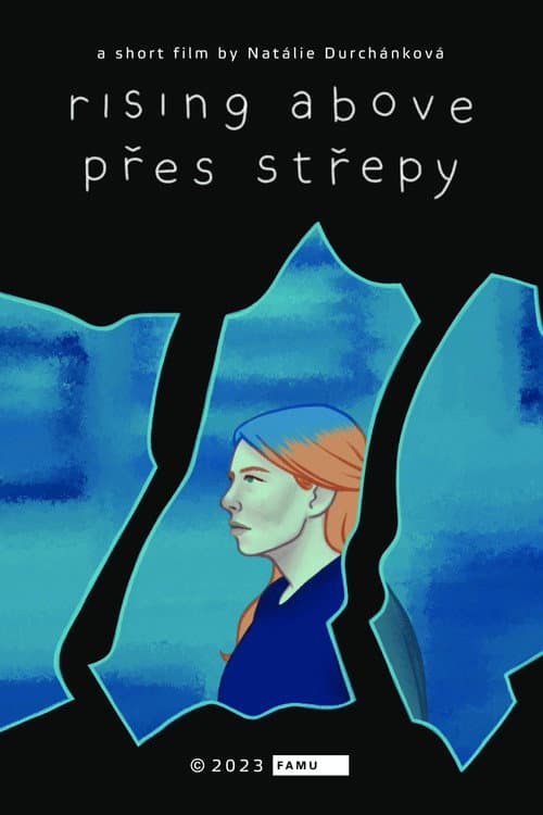 Přes střepy海报