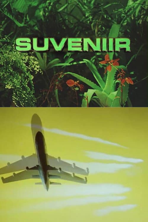 Suveniir海报