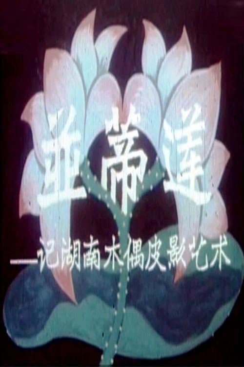 并蒂莲海报