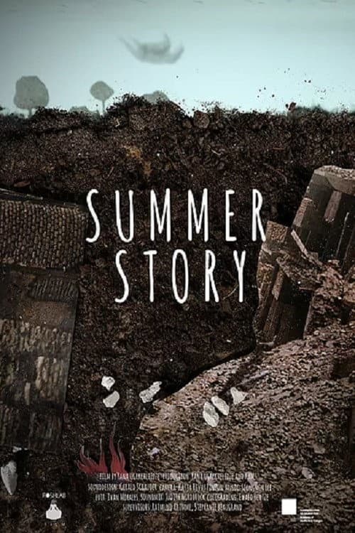 Summer Story海报