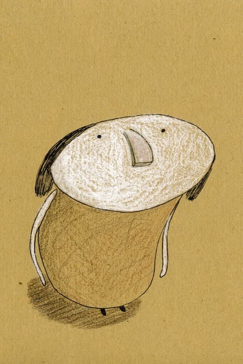 Šuma海报