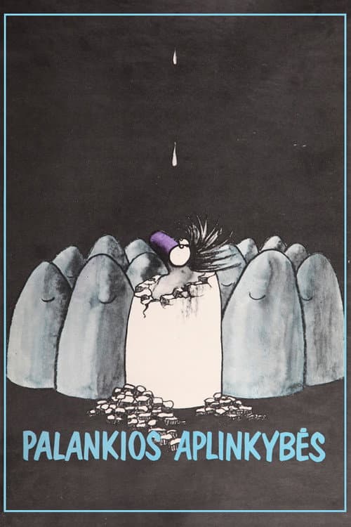 Palankios aplinkybės海报